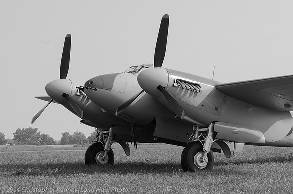 Mosquito 1