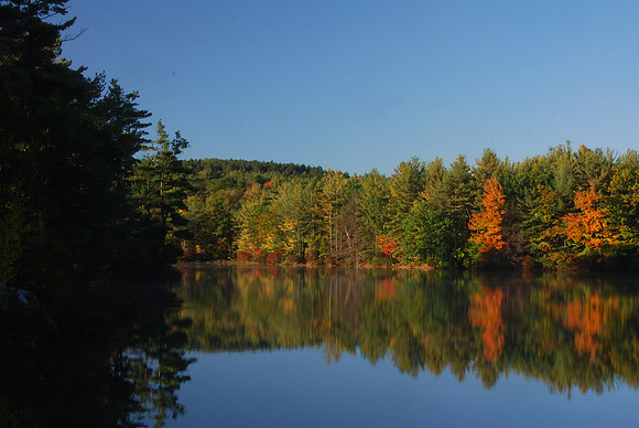 Reflection